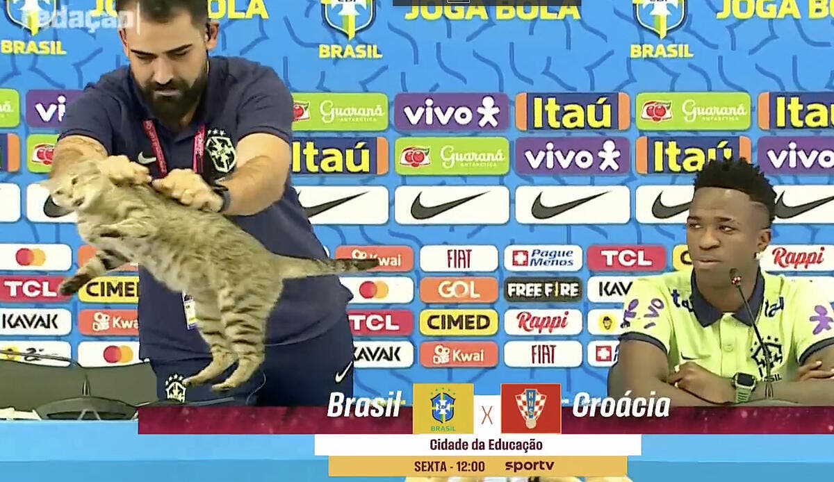 Mondial 2022: Un chat expulsé, le Brésil fait scandale