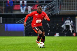 Lille a trouvé le successeur de David en Ligue 1