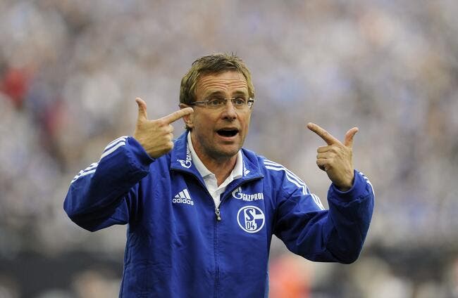 Démission de Rangnick, l'entraîneur de Schalke 04
