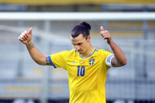 Vidéo : Zlatan s'est fait un nouvel ami gardien de but