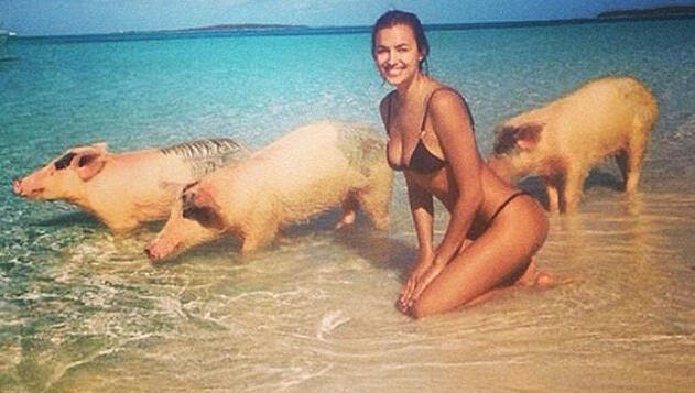 Insolite : Cristiano Ronaldo, sa fiancée aime les cochons