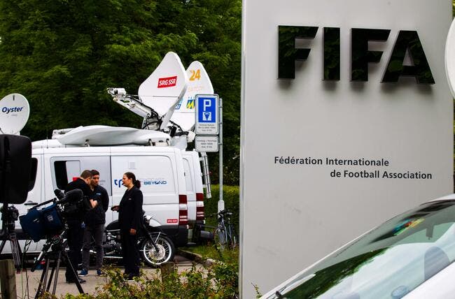 La FIFA perd 347 ME et accuse Blatter