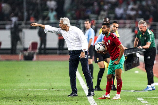 CdM : L'exploit du Maroc, c'est signé Coach Vahid, pas Coach Walid