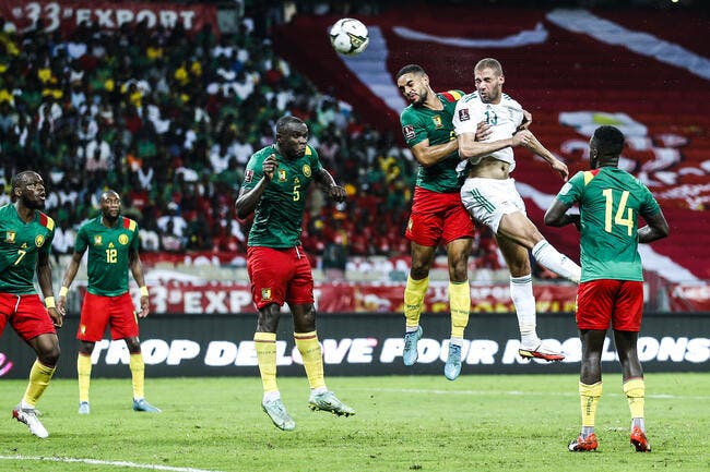 CdM 2022 : Le Cameroun met l'Algérie KO