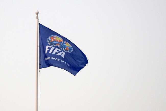 La FIFA s'interroge sur Egypte-Algérie