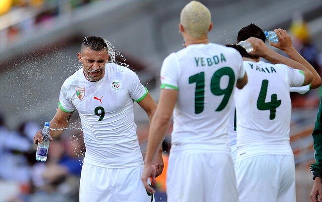 Pari sportif : 124 euros si l’Angleterre fait craquer l’Algérie